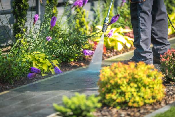 Best Spring Cleaning  in Granite Falls, NC